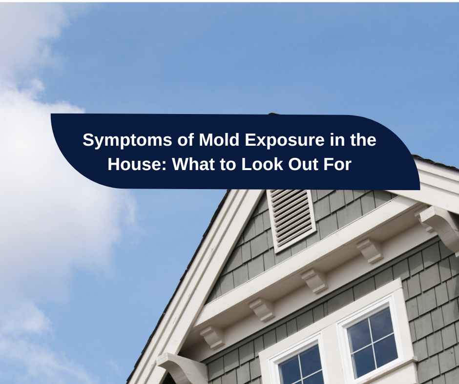 Symptoms of Mold Exposure in the House: What to Look Out For